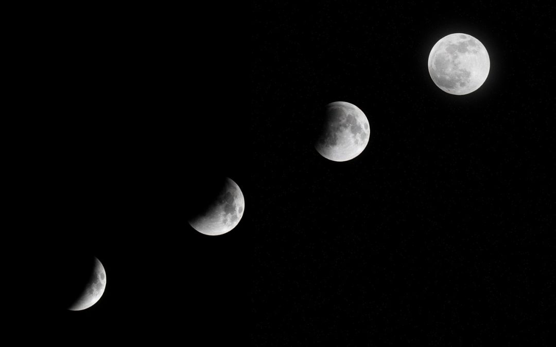 Guru Purnima y liderazgo consciente: guía, propósito y estrategia empresarial